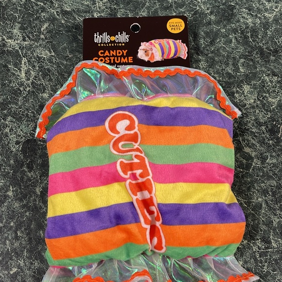 Host Pick Pumpkin, Hot Dog, and Candy Guinea pig Costumes - Picture 4 of 5